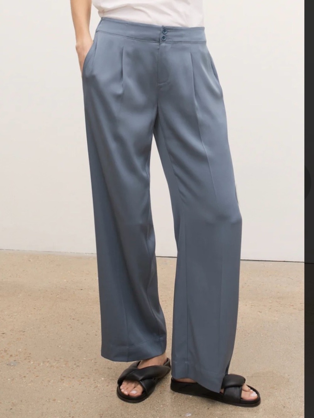 AYR The Supremo 100% Heavyweight Silk Wide Leg Dress Pants in Tidepool